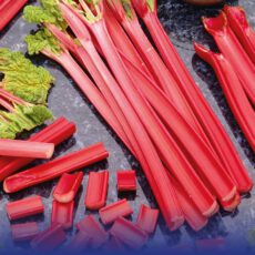 8718641999400 1 Rhubarb Champagne.jpg